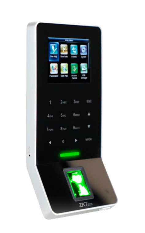 terminal